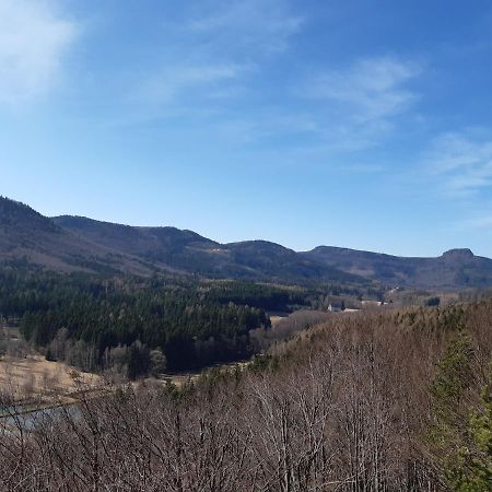 Agroturystyka Tam Gdzie Sosny Сцинавка-Дольна Екстер'єр фото