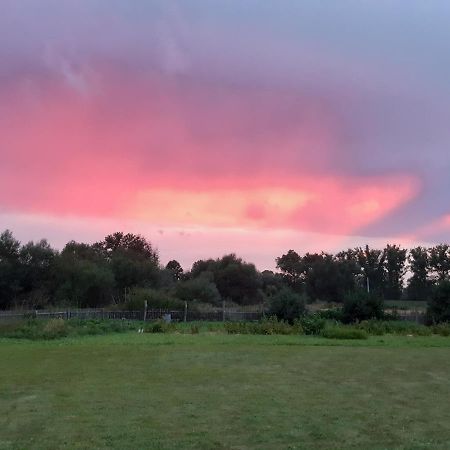 Agroturystyka Tam Gdzie Sosny Сцинавка-Дольна Екстер'єр фото