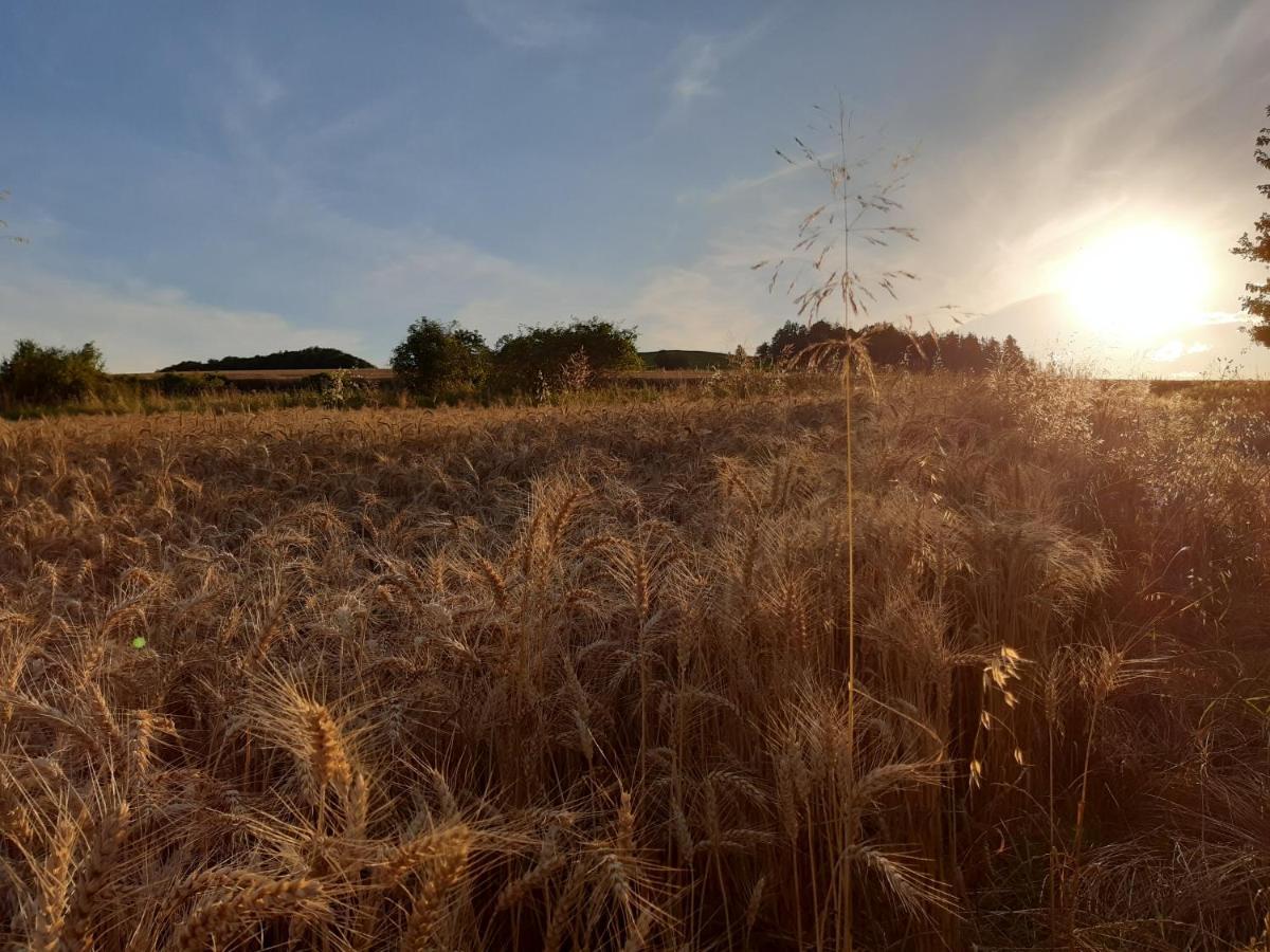 Agroturystyka Tam Gdzie Sosny Сцинавка-Дольна Екстер'єр фото